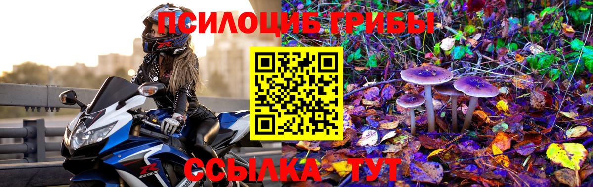 Галлюциногенные грибы GOLDEN TEACHER  Вход с VPN  Осинники 