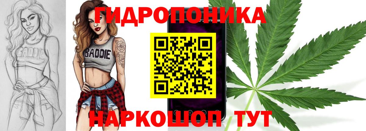 Бошки марихуана Amnesia  Бошки Шишки White Widow  Марихуана семена  Вход с VPN  Осинники 